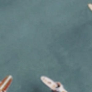 Meet your Posher, Ellie